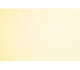 stiff net <span class='shop_red small'>(cream (ivory))</span>