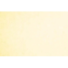 stiff net - cream (ivory)