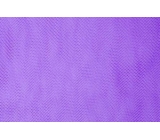 stiff net <span class='shop_red small'>(amethyst)</span>