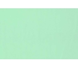 stiff net <span class='shop_red small'>(peppermint)</span>