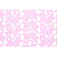 DIANA - rosepink
