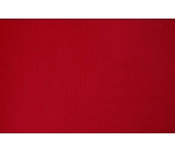 soft net DSI <span class='shop_red small'>(flamenco)</span>