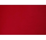 soft net DSI <span class='shop_red small'>(flamenco)</span>