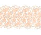 Emily Lace Ribbon <span class='shop_red small'>(champagney)</span>