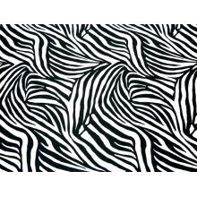 Dynamic Zebra/ white-black CHR-C