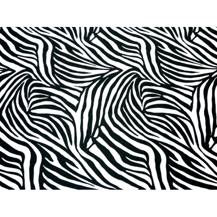 Dynamic Zebra/ white-black CHR-C