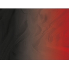 SHADED GEORGETTE CHR red-black