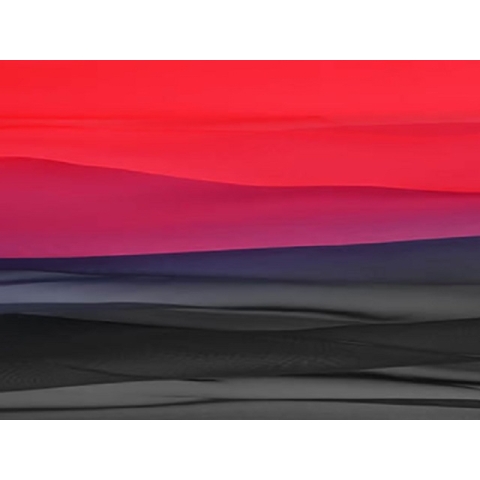 SHADED GEORGETTE DSI scarlet-black
