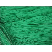 FRINGE DSI emerald
