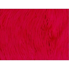 FRINGE ELASTICATED DSI scarlet
