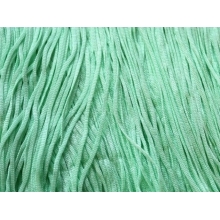 FRINGE ELASTICATED DSI peppermint