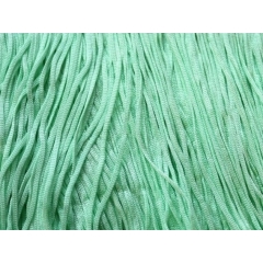 FRINGE ELASTICATED DSI peppermint