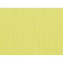 FRINGE FLAT ELASTICATED DSI lime