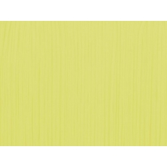 FRINGE FLAT ELASTICATED DSI lime