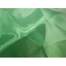 ORGANZA DSI peppermint