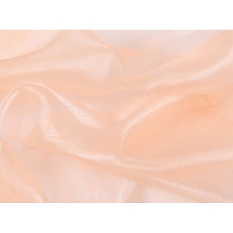 ORGANZA DSI champagney