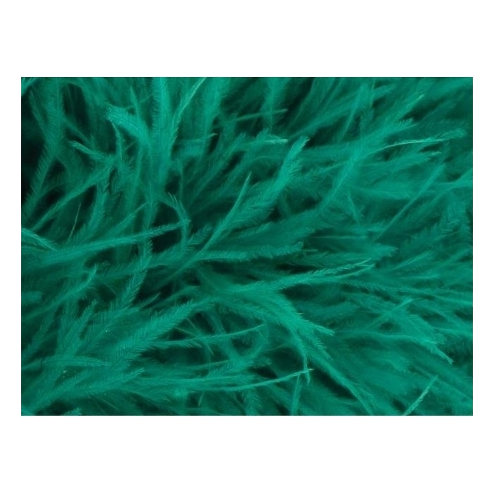 Feather Boa DSI jade