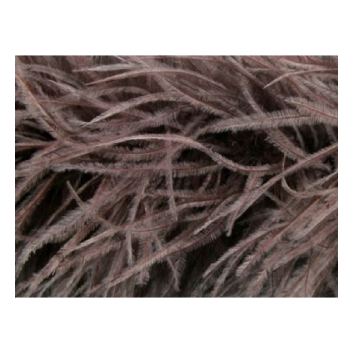 Feather Boa cocoa
