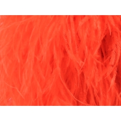 Feather Boa tango flare