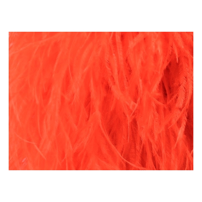 Feather Boa tango flare