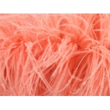 Feather Boa sunglow