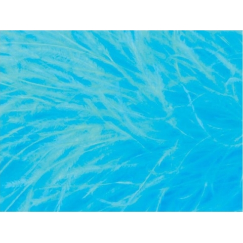 Feather Fringes CHR blue paradise