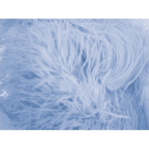 Feather Fringes CHR bluebell