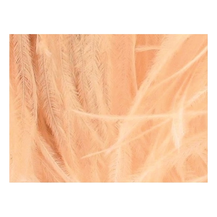 Feather fringes CHR champagney