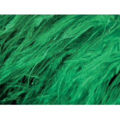 Feather Fringes CHR emerald
