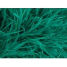Feather Boa jade