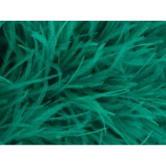 Feather Boa jade