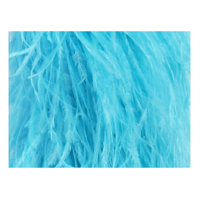 Feather fringes DSI barbados