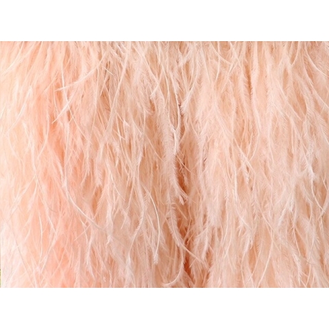 Feather Fringes DSI champagney