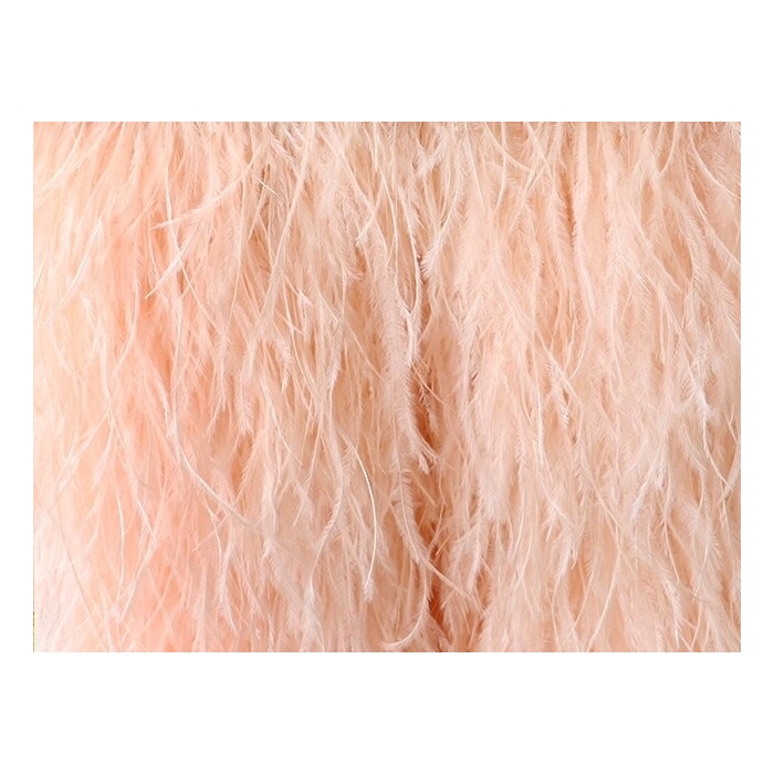 Feather Fringes DSI champagney