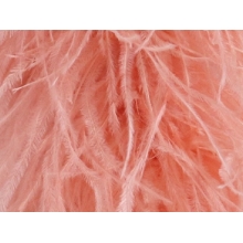 Feather fringes DSI coral
