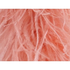 Feather fringes DSI coral