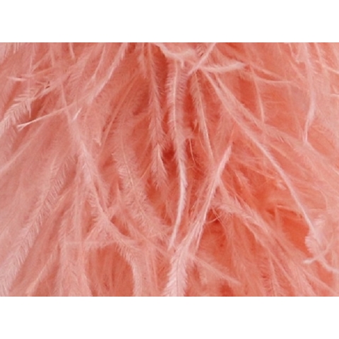 Feather fringes DSI coral