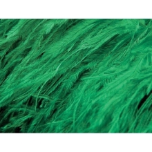 Feather Fringes DSI emerald