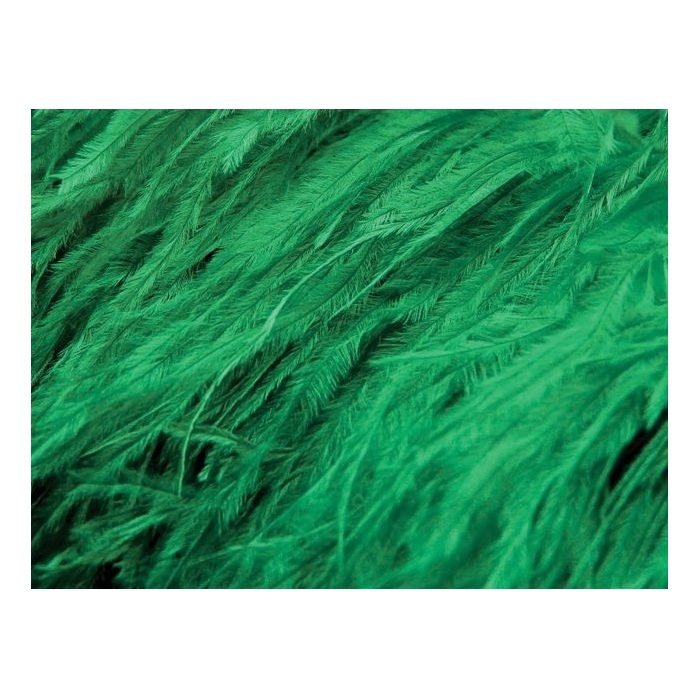 Feather Fringes DSI emerald