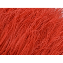 Feather fringes DSI flamered