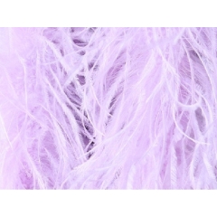 Feather fringes DSI lilac