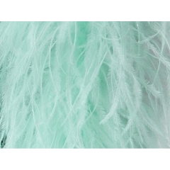 Feather Fringes DSI peppermint
