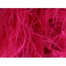 Feather fringes DSI scarlet