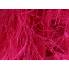 Feather fringes DSI scarlet