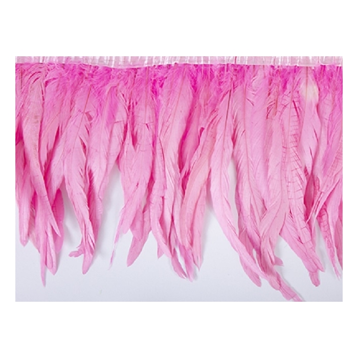 Coque Feathers DSI cerise