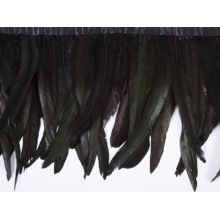 Coque Feathers DSI black