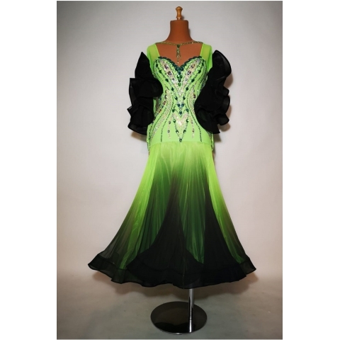 Ballroom dress