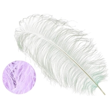 Ostrich Wings lilac