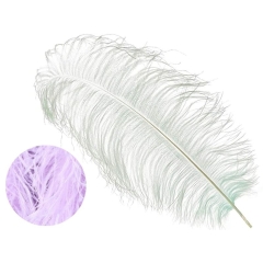 Ostrich Wings lilac