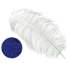 Ostrich Wings cobalt